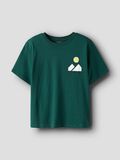 name it REGULAR FIT T-SHIRT, Forest Biome, highres - 13241029_ForestBiome_003.jpg