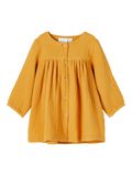 Name it VESTITO, Spruce Yellow, highres - 13188454_SpruceYellow_001.jpg