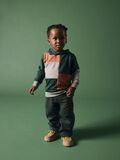 name it JAMBE DROITE PANTALON, Pine Grove, highres - 13230862_PineGrove_007.jpg
