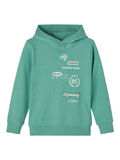 Name it PRINTED HOODIE, Frosty Spruce, highres - 13199091_FrostySpruce_001.jpg