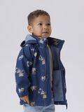 name it ALFA08 SOFTSHELL JAS, Sargasso Sea, highres - 13239085_SargassoSea_1184325_008.jpg