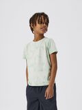 Name it BOX FIT T-SHIRT, Yucca, highres - 13230008_Yucca_008.jpg
