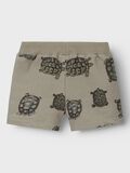 Name it PRINT SWEATSHORT, Dried Sage, highres - 13217026_DriedSage_002.jpg