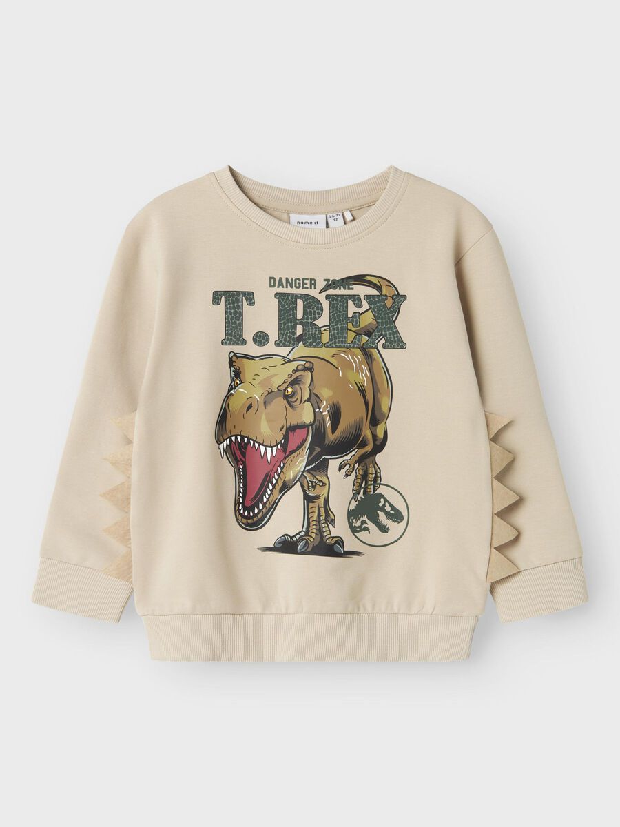 name it JURASSIC PARK SWEATSHIRT, Peyote, highres - 13244988_Peyote_003.jpg