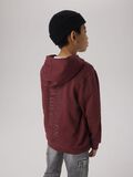 name it REGULAR FIT HOODIE, New Maroon, highres - 13238836_NewMaroon_008.jpg