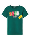 Name it HARIBO T-SHIRT, Forest Biome, highres - 13211585_ForestBiome_001.jpg