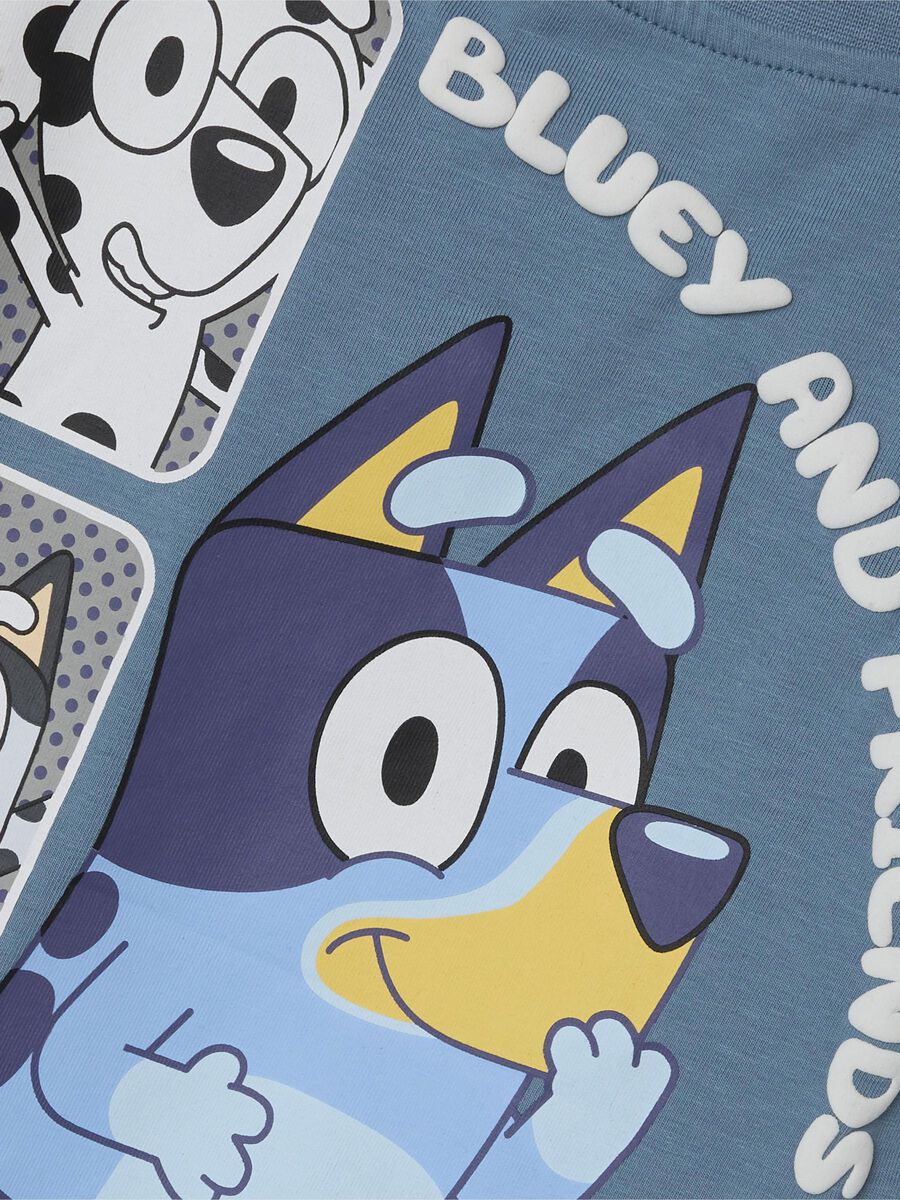name it BLUEY-TEEMAINEN T-PAITA, Spring Lake, highres - 13247776_SpringLake_005.jpg