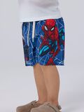 name it SPIDER-MAN BADEMODE, Limoges, highres - 13239661_Limoges_007.jpg