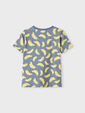 name it FRUIT T-SHIRT, Flint Stone, highres - 13212035_FlintStone_002.jpg