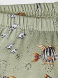 Name it FISCHPRINT SHORTS, Desert Sage, highres - 13191437_DesertSage_005.jpg