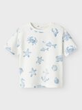 name it BIOLOGISCH KATOEN T-SHIRT, Cloud Dancer, highres - 13241249_CloudDancer_003.jpg