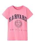 Name it T-SHIRT, Chateau Rose, highres - 13205381_ChateauRose_001.jpg