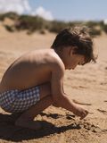 Product image thumbnail - PRINTED SWIMMING TRUNKS, Tradewinds | 2