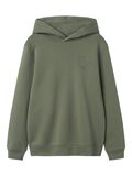 name it LONG SLEEVED HOODIE, Agave Green, highres - 13237522_AgaveGreen_001.jpg