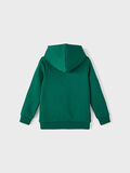 Name it CORTE REGULAR SUDADERA CON CAPUCHA, Forest Biome, highres - 13213734_ForestBiome_002.jpg