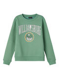 Name it PRINTET SWEATSHIRT, Frosty Spruce, highres - 13203911_FrostySpruce_001.jpg