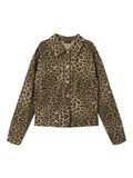 name it LEOPARD TWILL JACKET, Silver Mink, highres - 13243372_SilverMink_1185461_001.jpg
