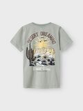 name it EN COTON BIOLOGIQUE T-SHIRT, Slate Gray, highres - 13242684_SlateGray_002.jpg
