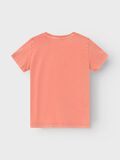 Name it COUPE CLASSIQUE T-SHIRT, Burnt Sienna, highres - 13229932_BurntSienna_002.jpg