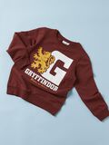 name it HARRY POTTER GRYFFINDOR SWEATSHIRT, Fired Brick, highres - 13203958_FiredBrick_007.jpg