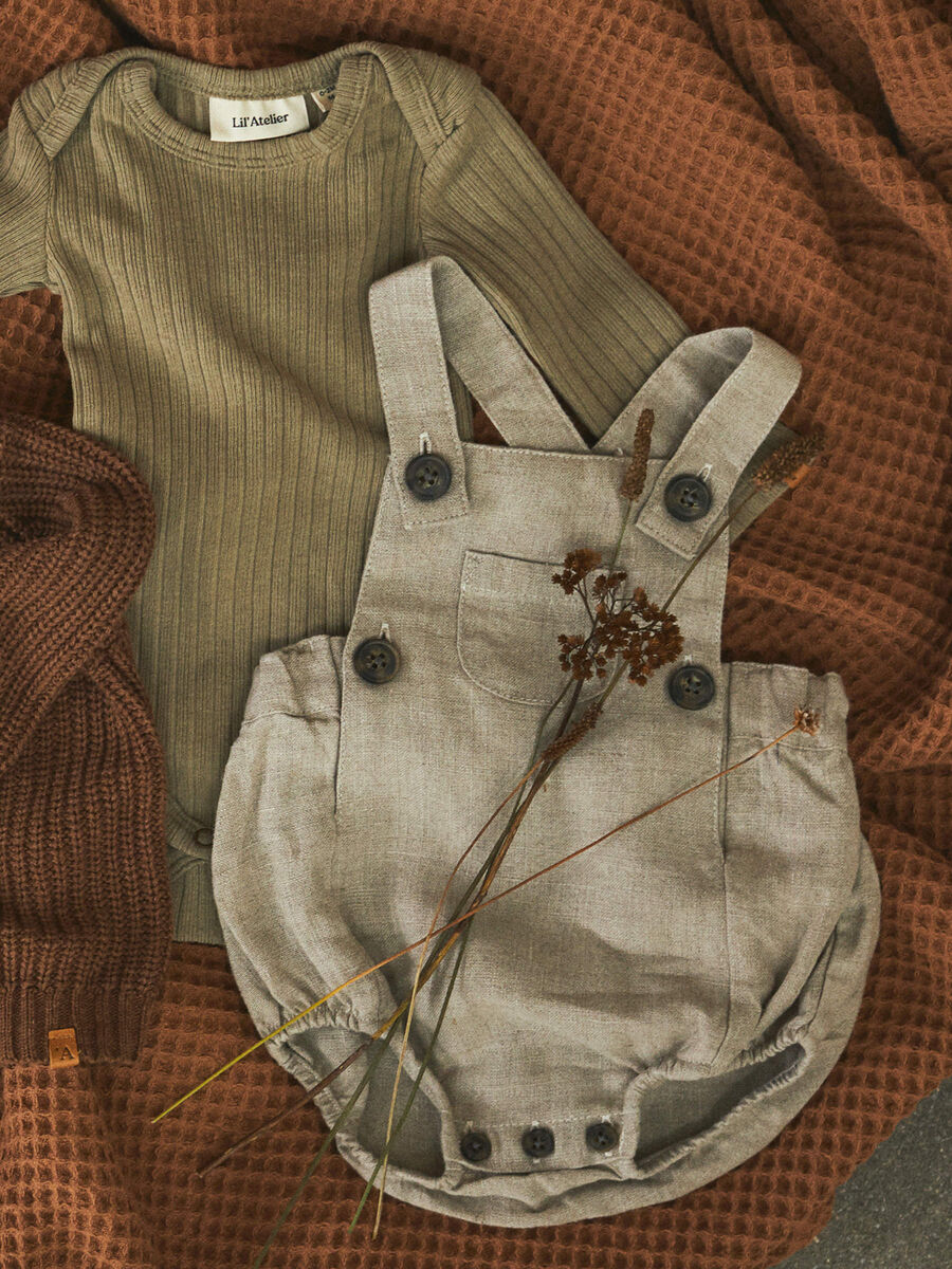 name it RIBBAD BODY, Silver Sage, highres - 13192024_SilverSage_007.jpg