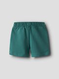 name it REGULAR FIT SWEAT SHORTS, Deep Jungle, highres - 13238144_DeepJungle_002.jpg
