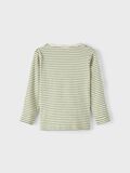 Name it A RAYAS CAMISETA, Dill, highres - 13219596_Dill_002.jpg