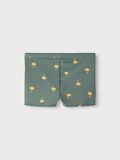 name it TAJTA BADSHORTS, Laurel Wreath, highres - 13213926_LaurelWreath_002.jpg