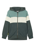 Name it COLOUR BLOCK ZIP-UP HOODIE, Darkest Spruce, highres - 13180041_DarkestSpruce_001.jpg