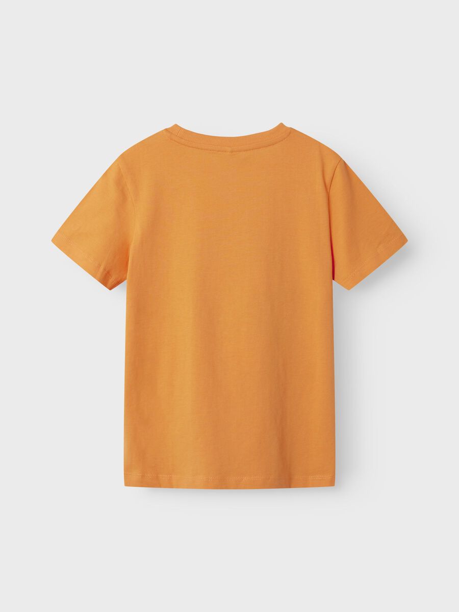 Carousel image - ESTAMPADO CAMISETA, Bird of Paradise | 2