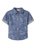 Name it VACACIONES CAMISA, Wild Wind, highres - 13200191_WildWind_001.jpg