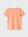 Product image thumbnail - REGULAR FIT T-SHIRT, Papaya Punch | 2