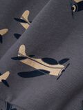name it CORTE REGULAR SUDADERA, Castlerock, highres - 13236475_Castlerock_005.jpg