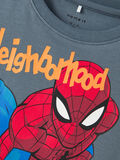 Name it SPIDERMAN T-SHIRT, Stormy Weather, highres - 13222150_StormyWeather_005.jpg