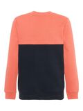 Name it MULTICOLOR SWEATSHIRT, Spiced Coral, highres - 13164358_SpicedCoral_002.jpg