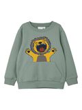 Name it AJUSTE REGULAR SUDADERA, Iceberg Green, highres - 13206622_IcebergGreen_001.jpg