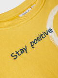 Name it POSITIVE VIBES SWEATSHIRT, Beach Ball, highres - 13198296_BeachBall_005.jpg