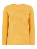Name it EMBOSSED LETTERS LONG-SLEEVED T-SHIRT, Amber Gold, highres - 13171964_AmberGold_001.jpg