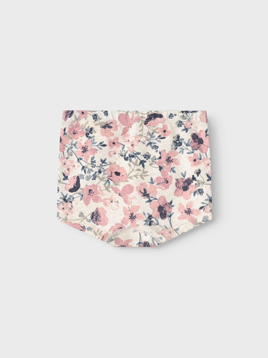 name it HIPSTER, Nostalgia Rose, highres - 13227057_NostalgiaRose_002.jpg