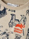 Name it ANIMAL PLANET SWEATSHIRT, Peyote Melange, highres - 13212507_PeyoteMelange_005.jpg