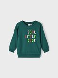 Name it REGULAR FIT SWEATSHIRT, Sea Moss, highres - 13209457_SeaMoss_003.jpg