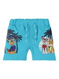 Name it PAW PATROL BADESHORTS, Bachelor Button, highres - 13213894_BachelorButton_001.jpg