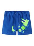 Name it LONG SWIM SHORTS, Surf the Web, highres - 13213924_SurftheWeb_001.jpg