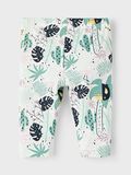 Product image thumbnail - LEGGINSY, White Alyssum | 2