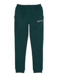 Name it NEW YORK SWEATPANTS, Forest Biome, highres - 13213919_ForestBiome_001.jpg