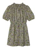 Name it PRINTED DRESS, Lint, highres - 13218744_Lint_001.jpg