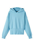 Name it NORMAL PASSFORM HOODIE, Delphinium Blue, highres - 13211302_DelphiniumBlue_001.jpg