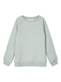 Name it CREW-NECK SWEATSHIRT, Iceberg Green, highres - 13192396_IcebergGreen_001.jpg