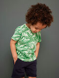 Name it PRINTED T-SHIRT, Hemlock, highres - 13213267_Hemlock_007.jpg